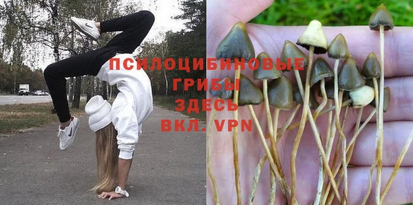 бутират Арсеньев