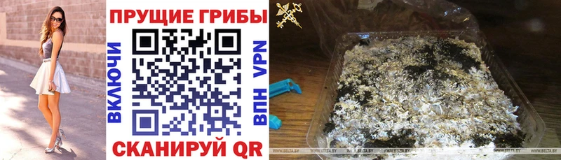 МЕГА вход  Байкальск  Галлюциногенные грибы Cubensis 